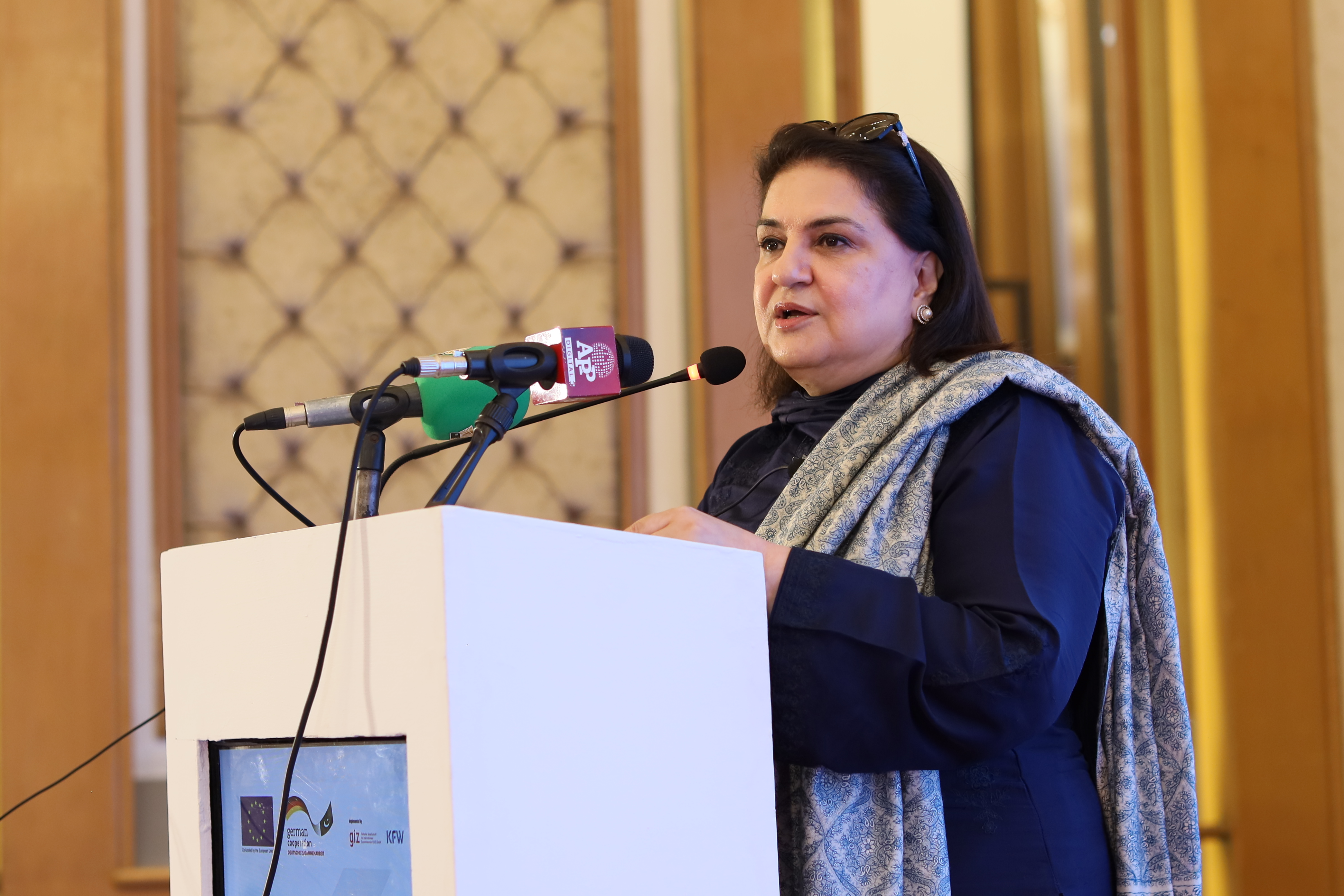 Social Protection is a Fundamental Right, Not a Privilege – Senator Rubina Khalid
